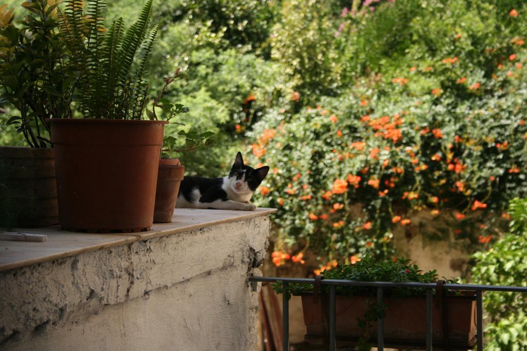 B&B Ingiropernapoli Exteriör bild